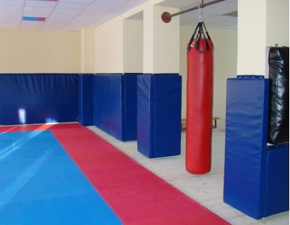 Спортивные покрытия Спортивные покрытия